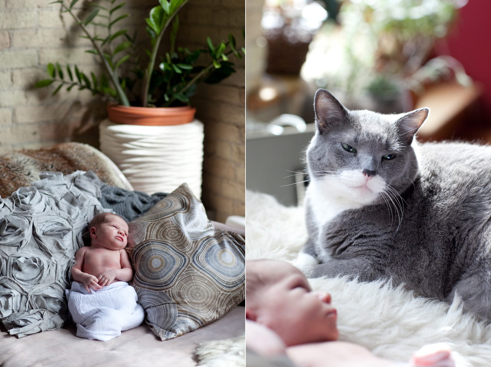 newborn photography-163