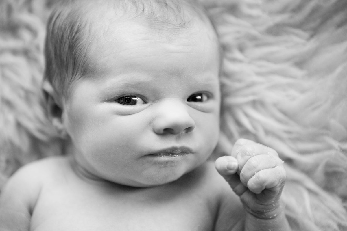 newborn photography-302