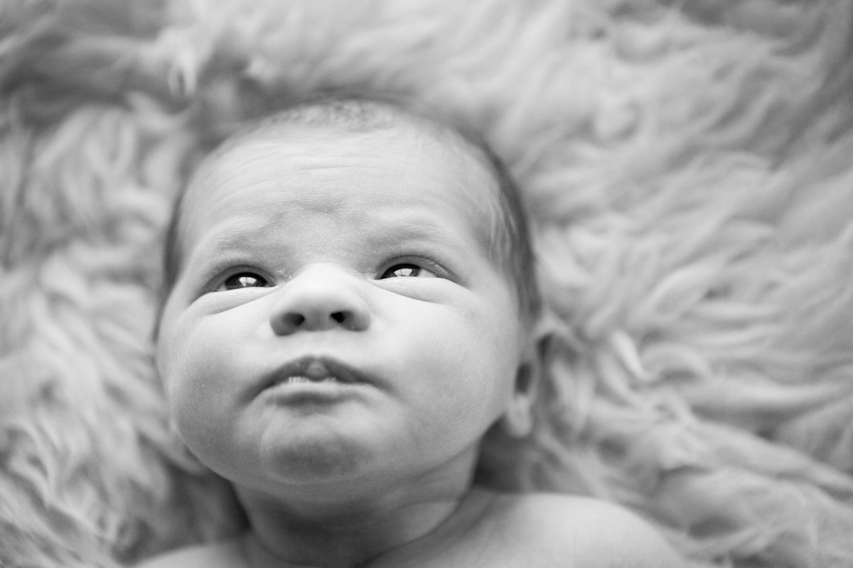 newborn photography-303
