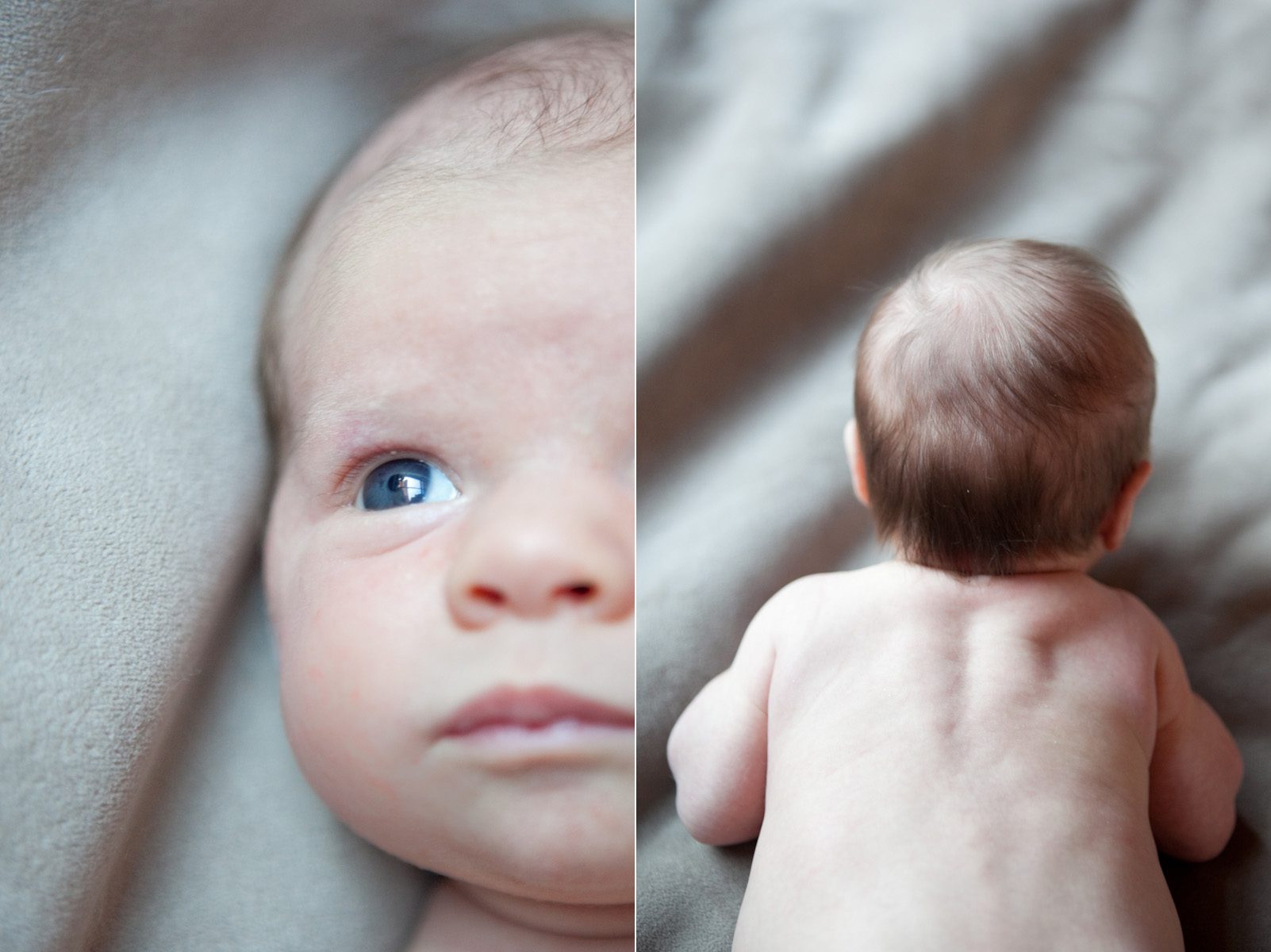 newborn photography-504