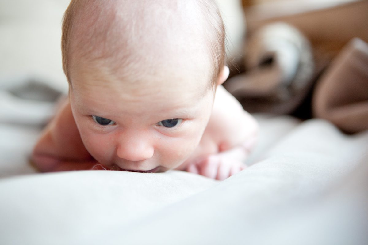 newborn photography-506