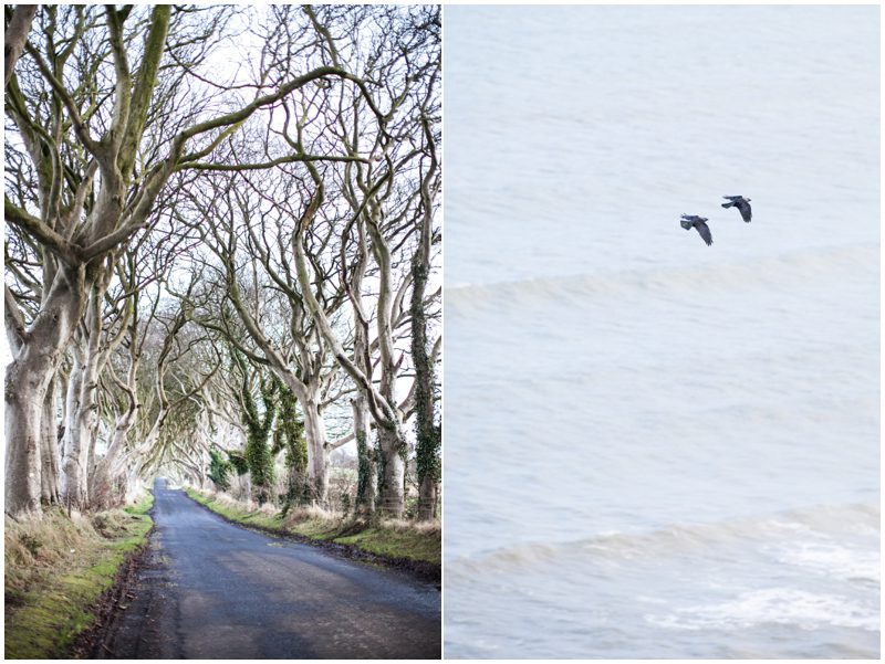 ireland destination wedding_005