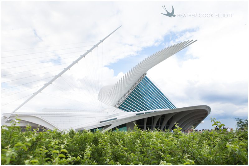 milwaukee art museum wedding photographer_260