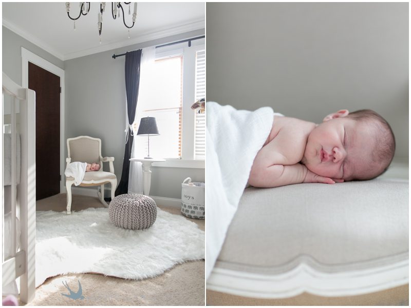 milwaukee newborn photohgraphy_230