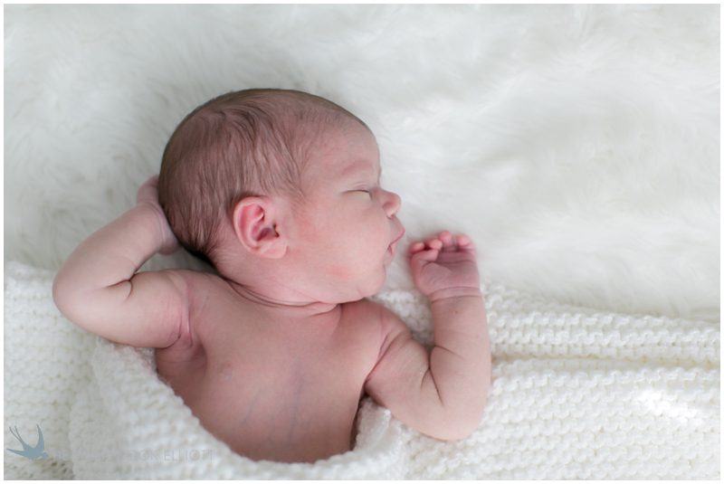 milwaukee newborn photohgraphy_237