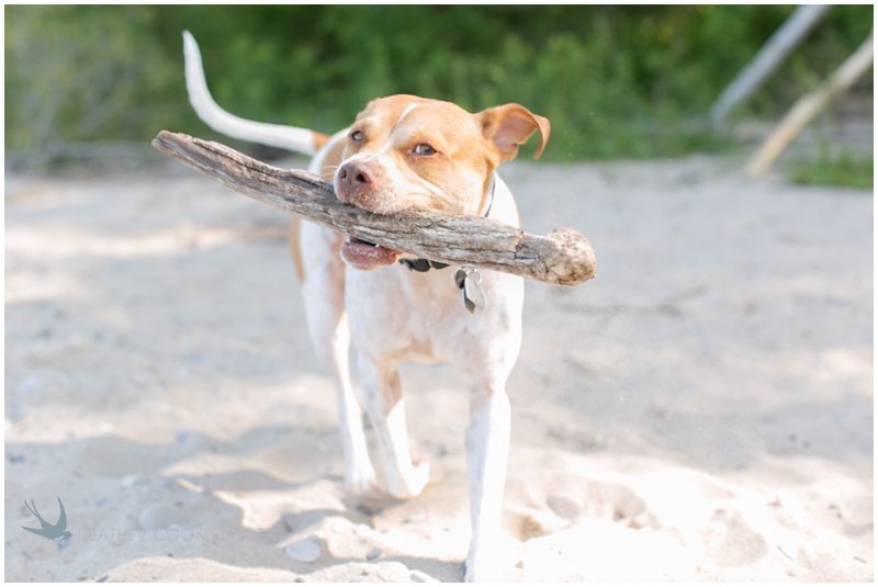 schlitz audubon nature engagement photography_199
