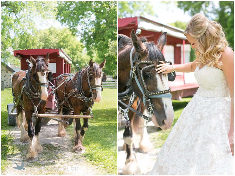 Wade House Wedding_123