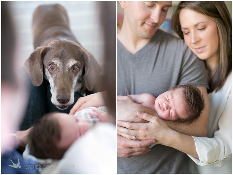 milwaukee newborn photographer_104