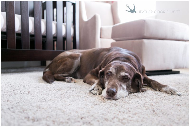milwaukee newborn photographer_105