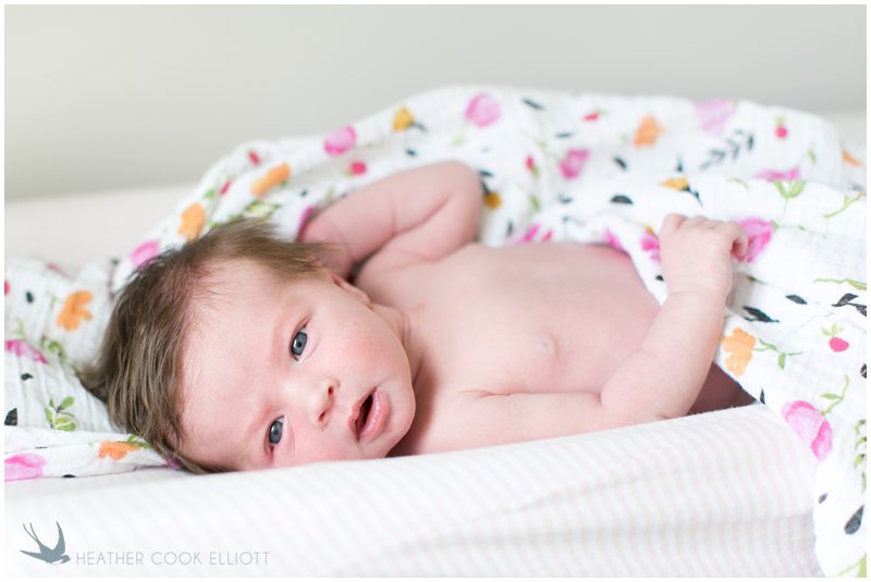 milwaukee newborn photographer_107