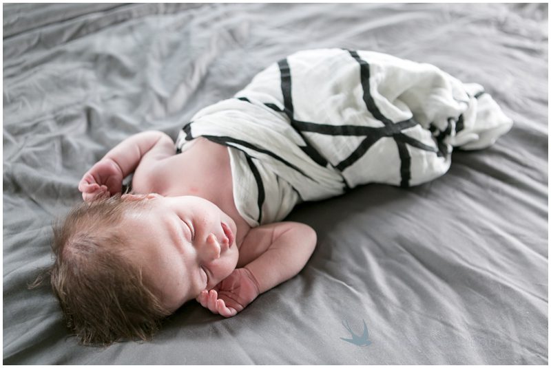 milwaukee newborn photographer_113