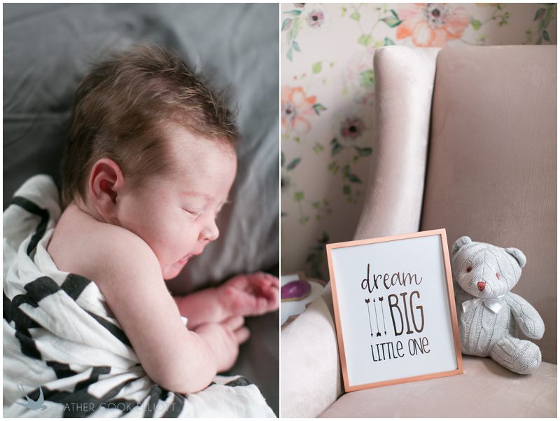 milwaukee newborn photographer_115
