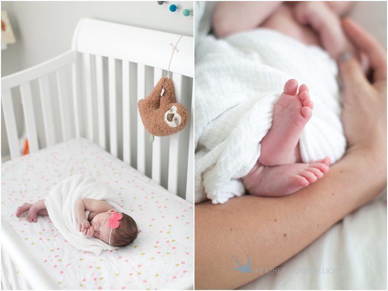 milwaukee newborn photography_014