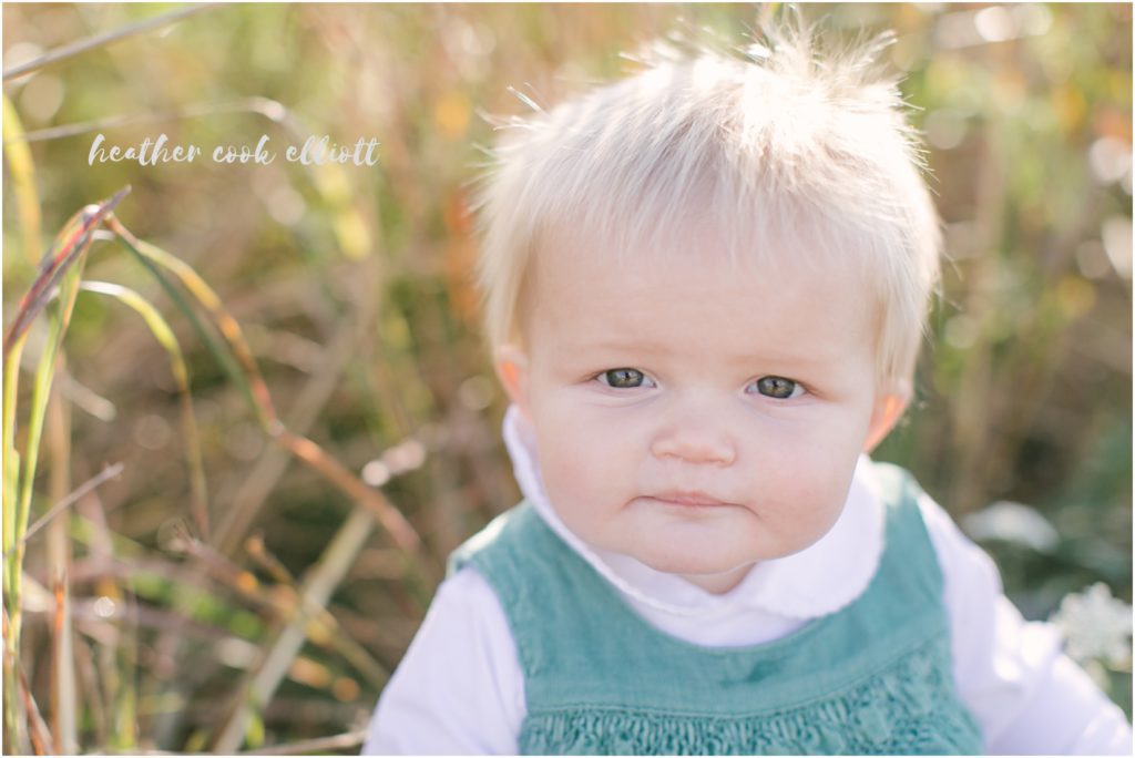milwaukee wisconsin fall family photography in natural light
