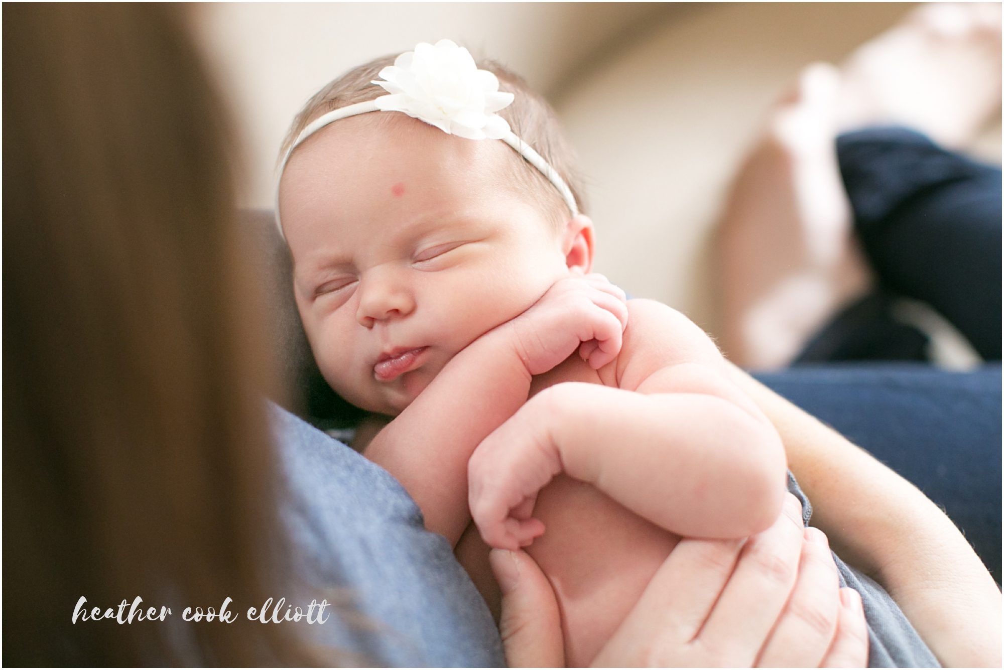 Milwaukee Natural Light Newborn Photography