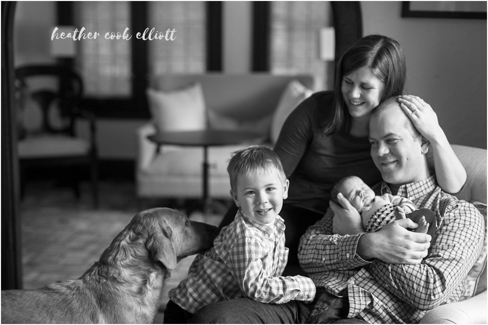 Milwaukee Natural Light Newborn Photography