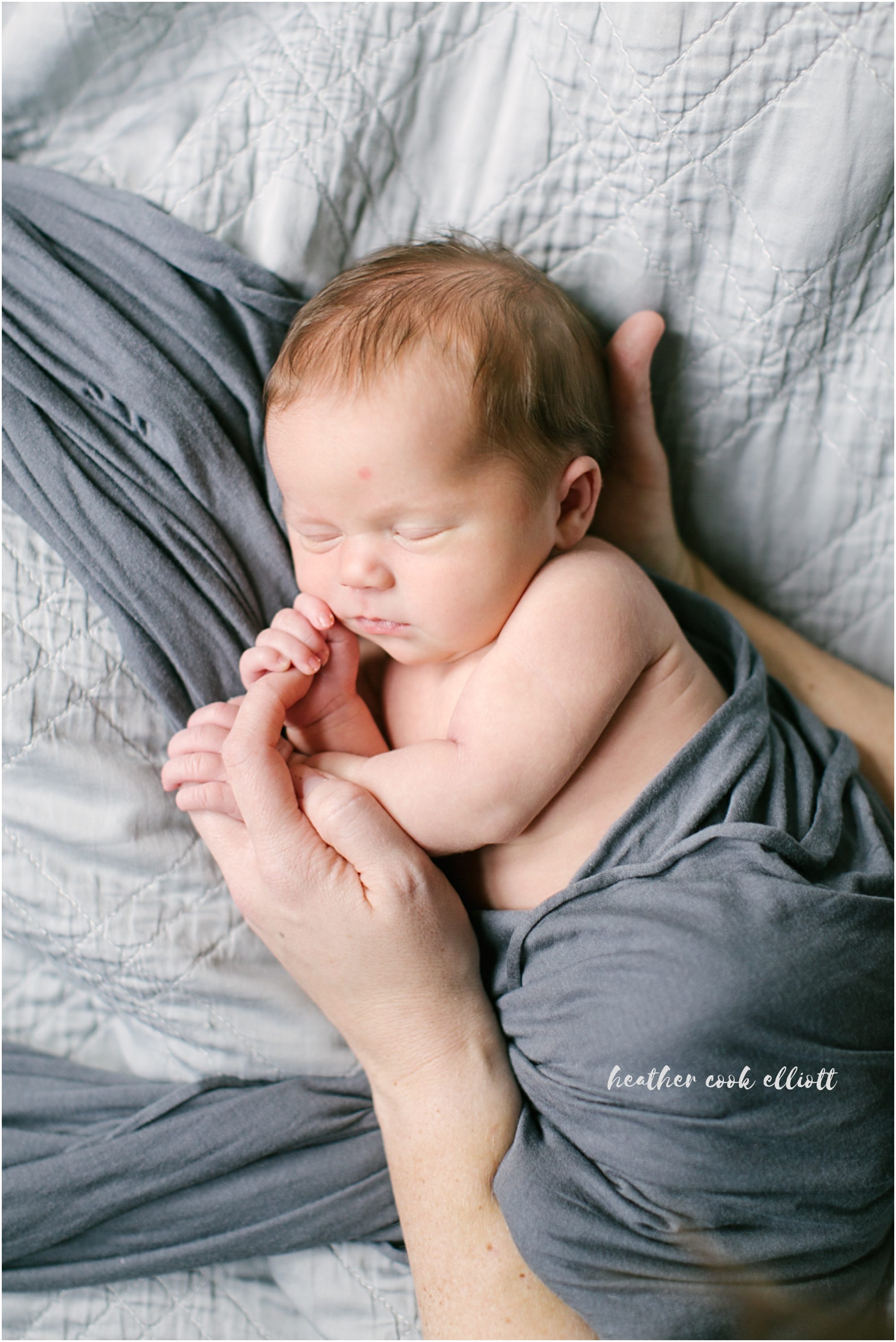 Milwaukee Natural Light Newborn Photography