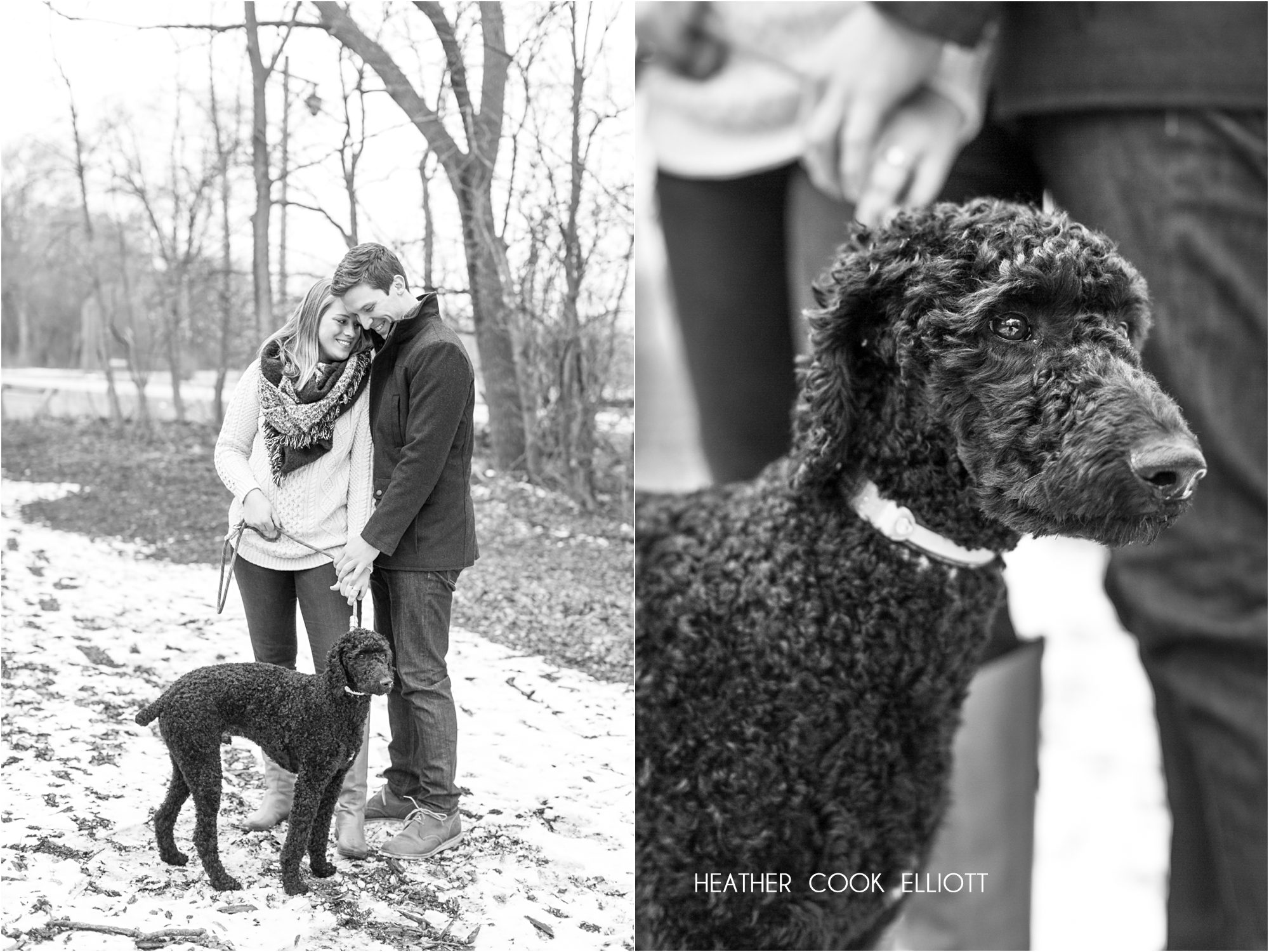 modern winter milwaukee engagement photography with dog