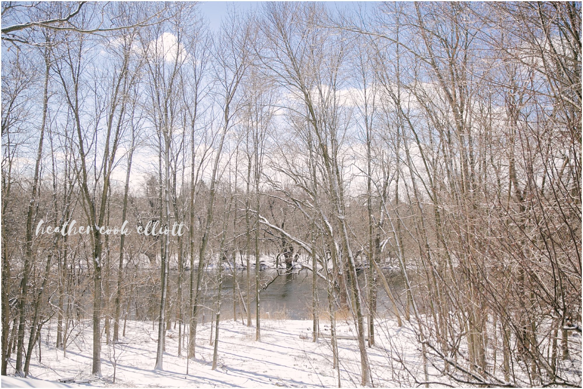 Mequon Wisconsin Newborn Photography at home in natural light