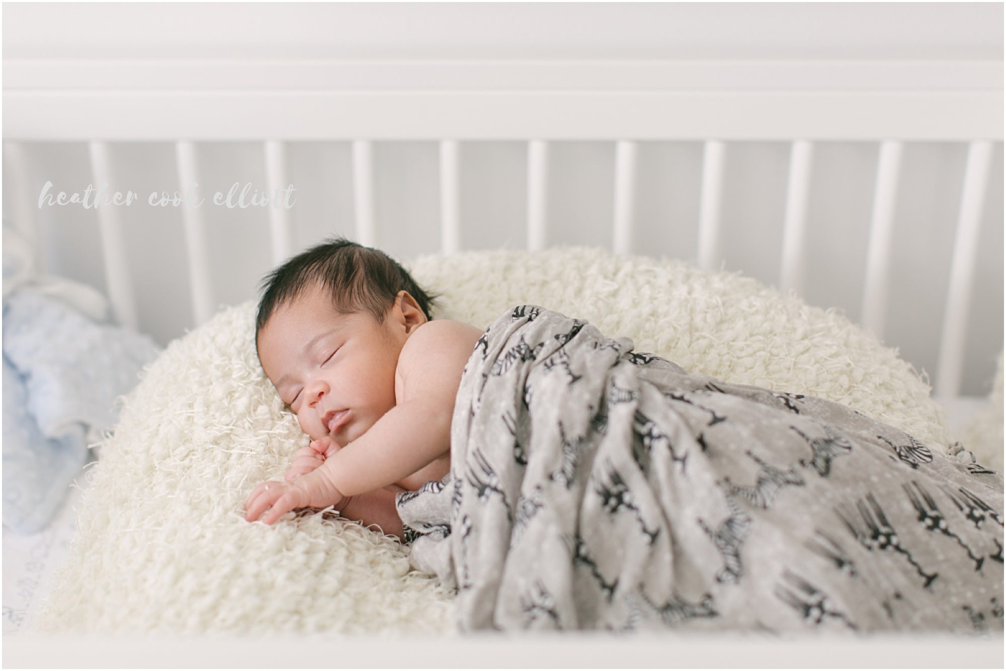 Mequon Wisconsin Newborn Photography at home in natural light