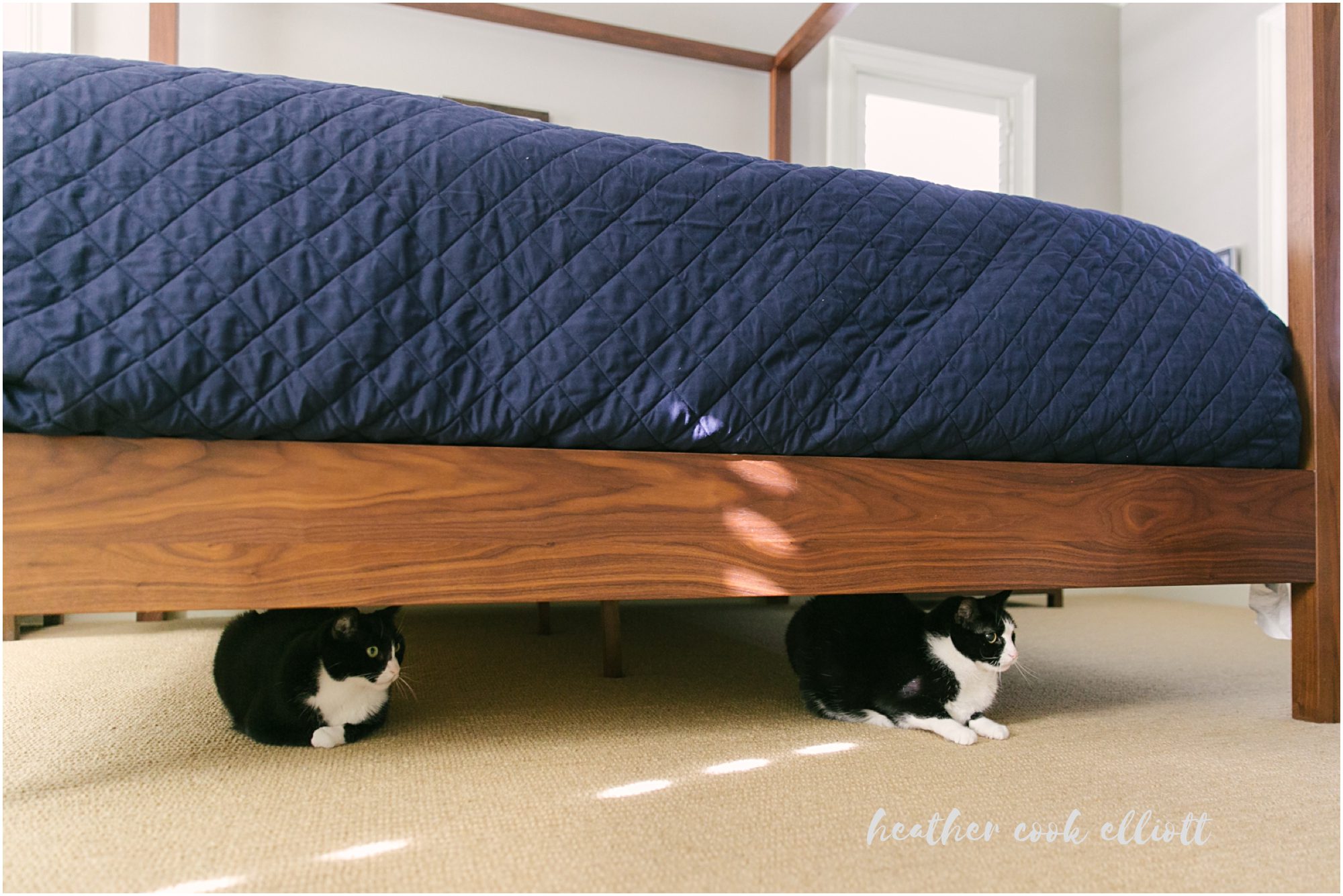 Elm Grove Wisconsin Natural Light Family Photographer