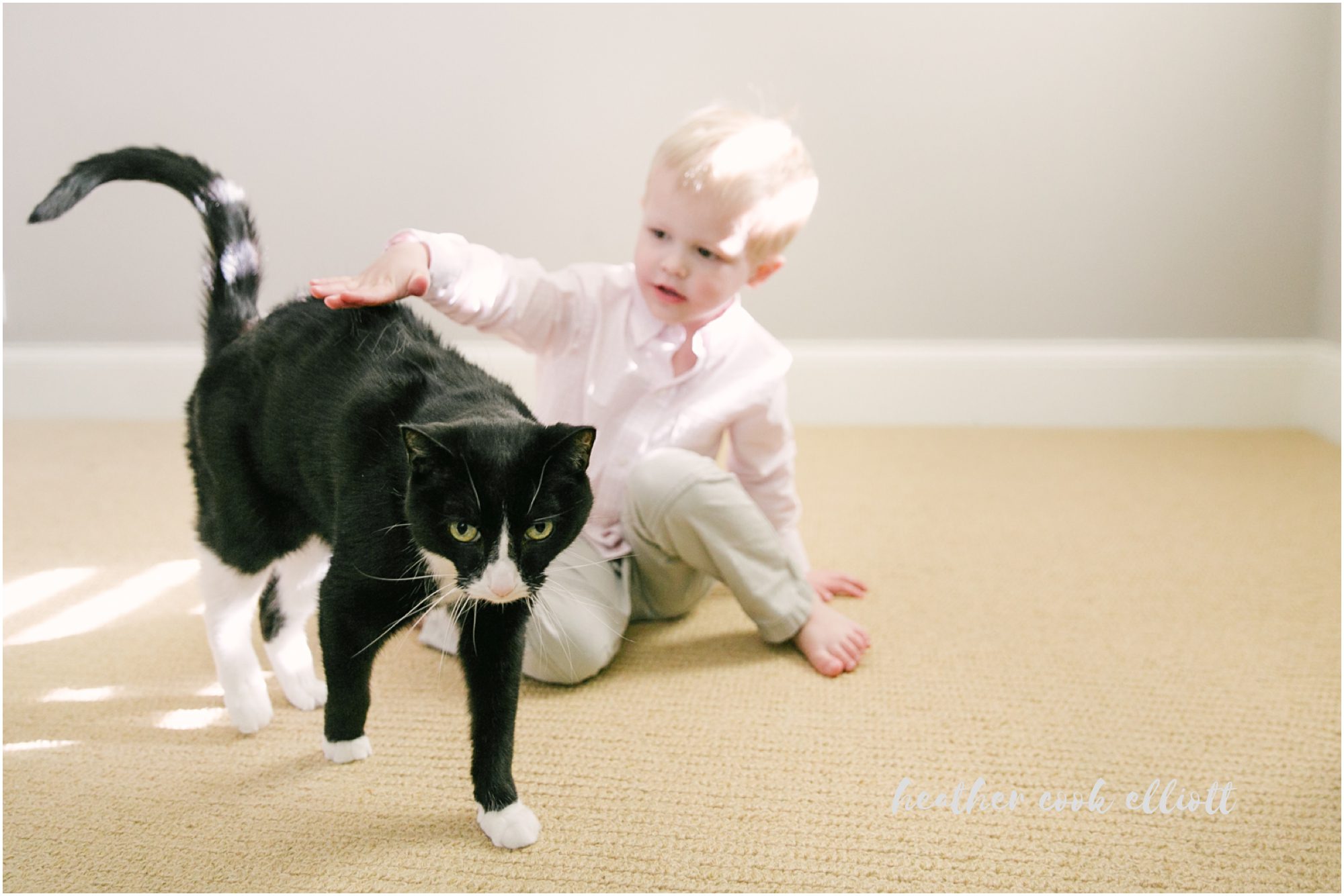 Elm Grove Wisconsin Natural Light Family Photographer