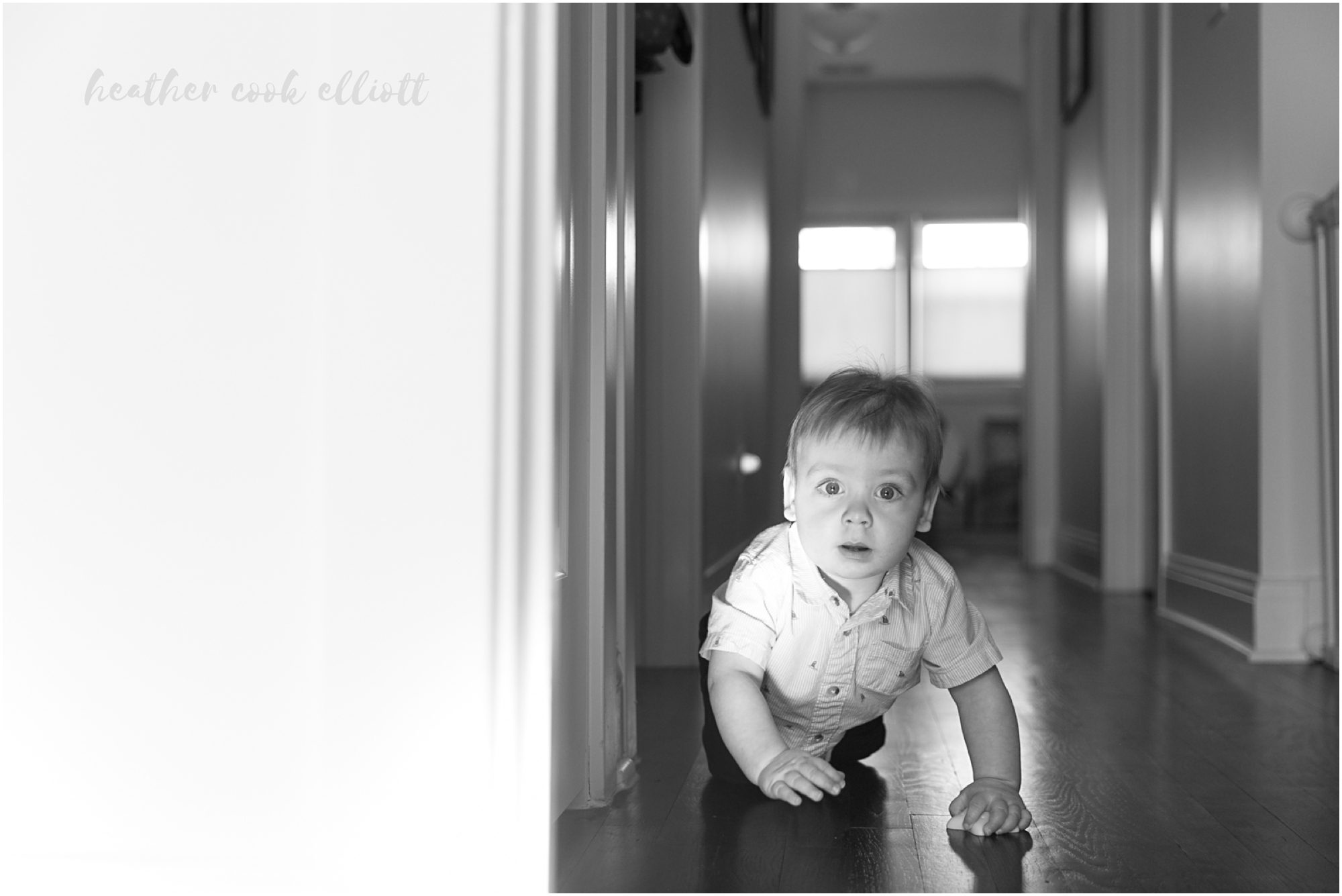 chicago natural light family photos with dog