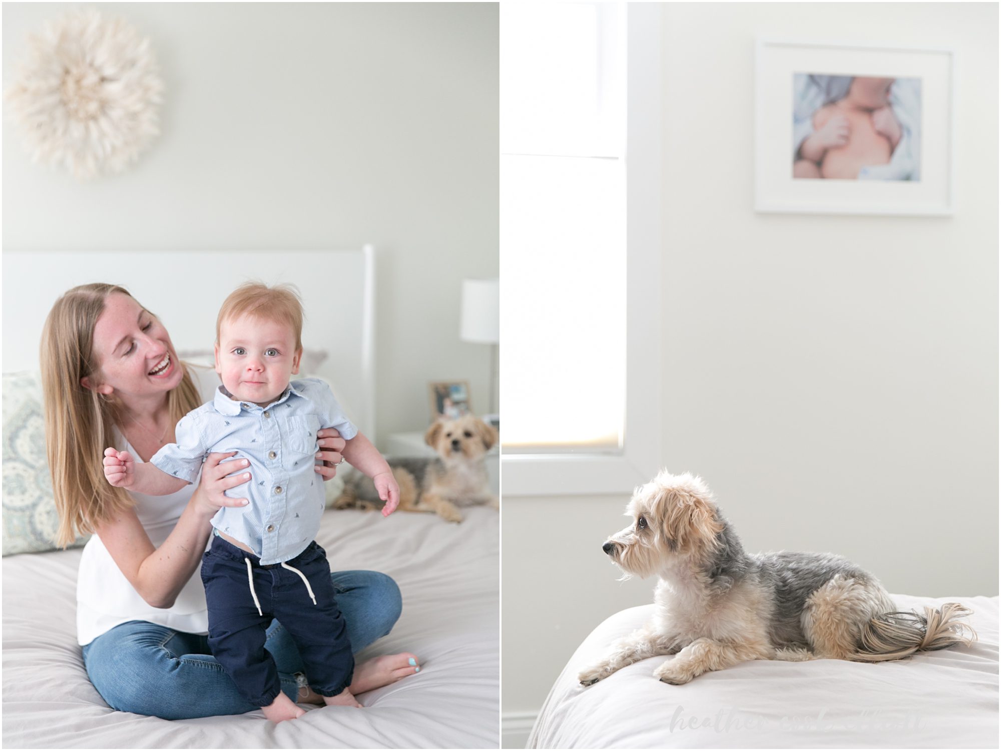 chicago natural light family photos with dog