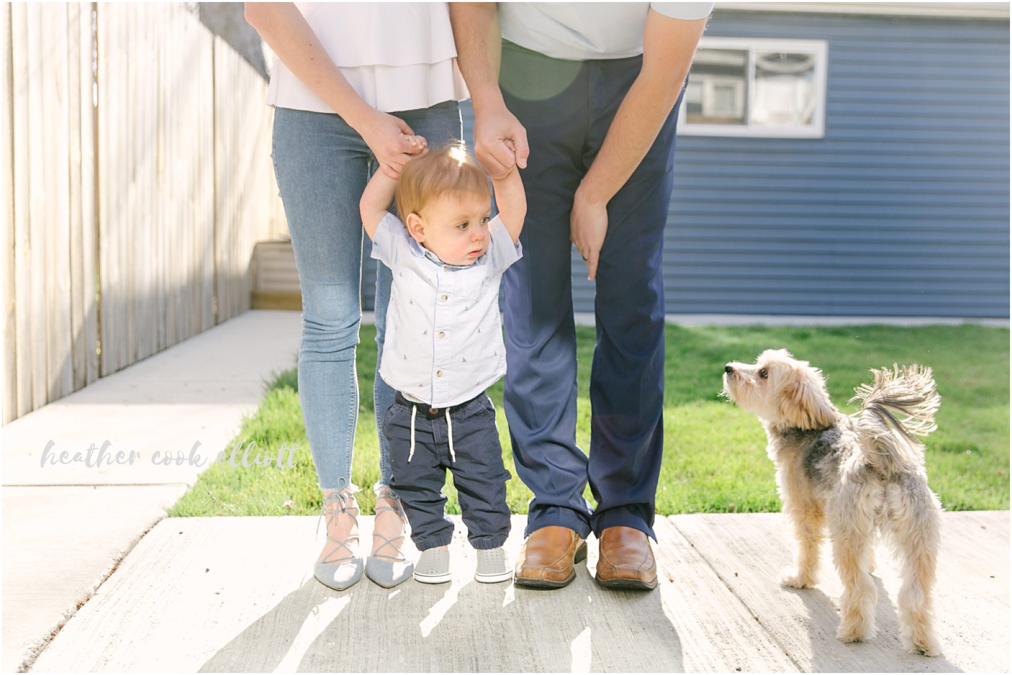chicago natural light family photos with dog