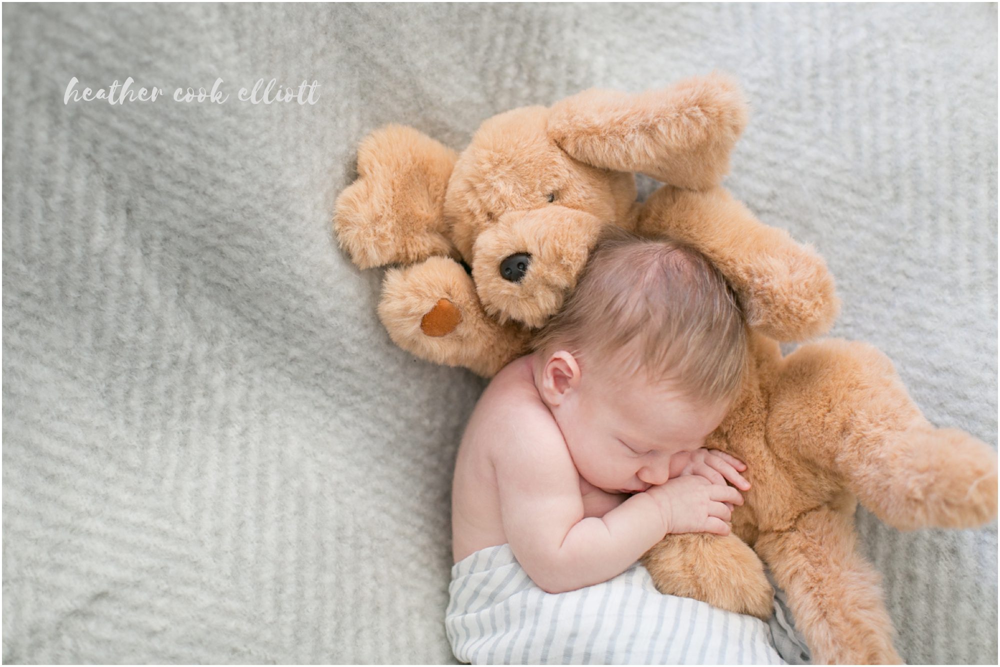 Chicago Natural Light Newborn Photography
