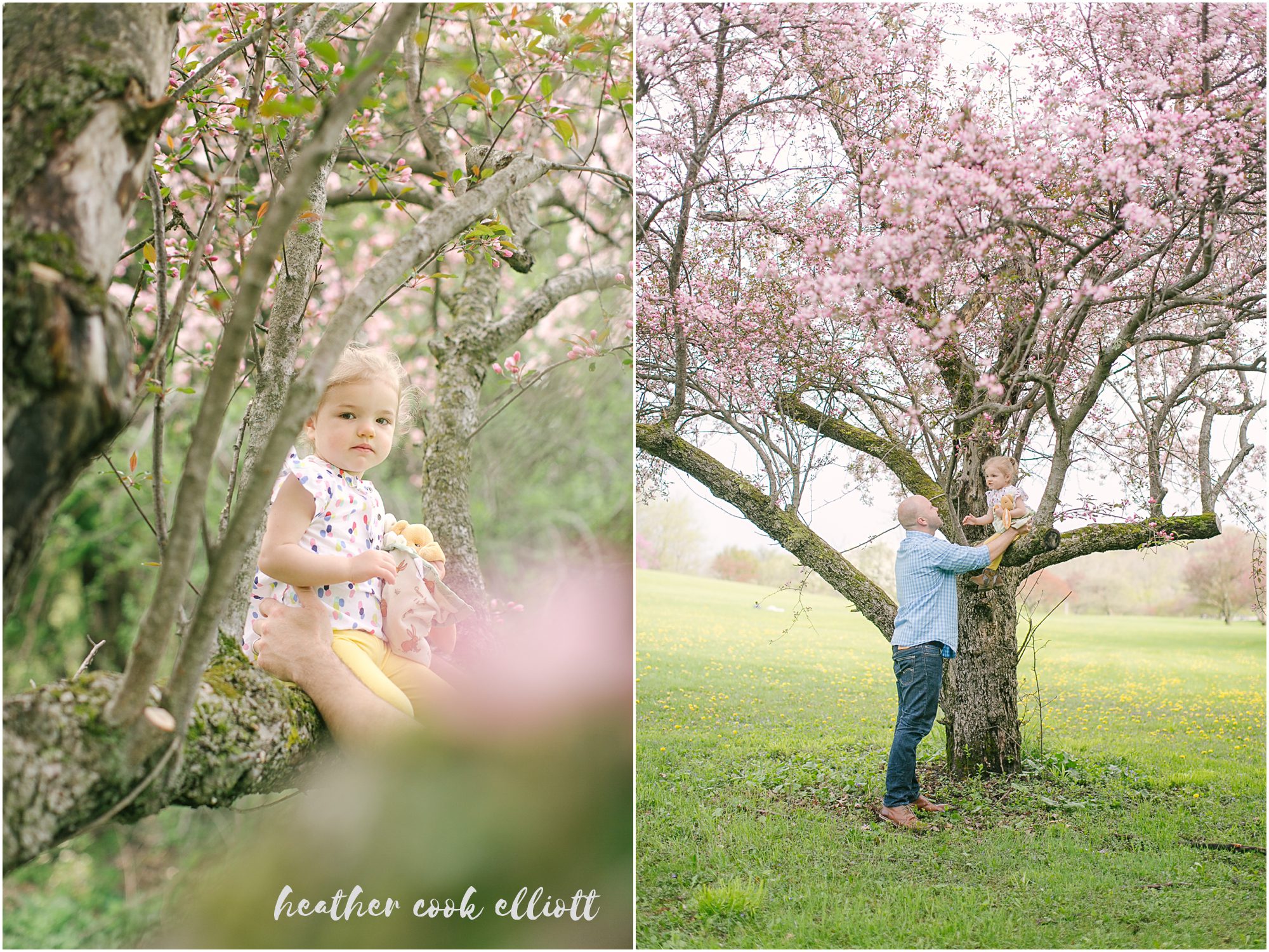 milwaukee spring family and maternity photos