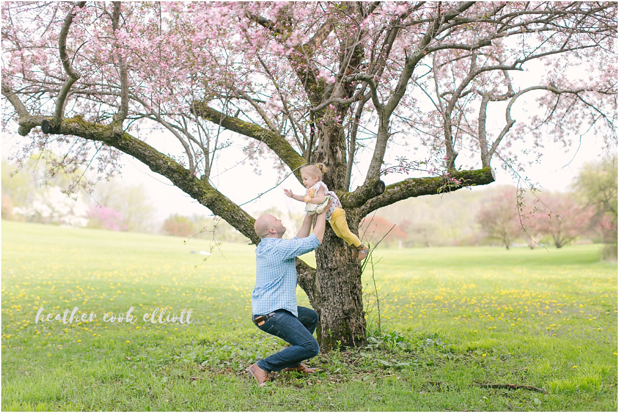 milwaukee spring family and maternity photos