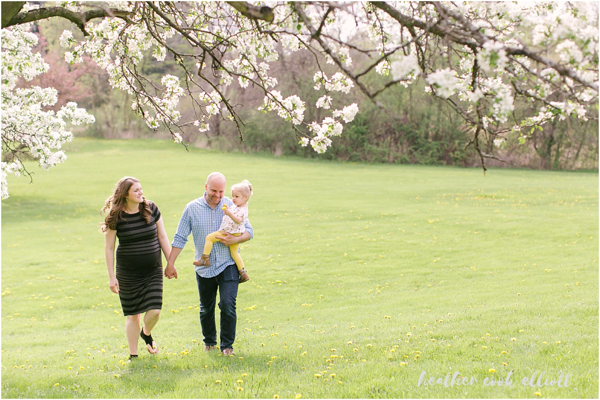 milwaukee spring family and maternity photos