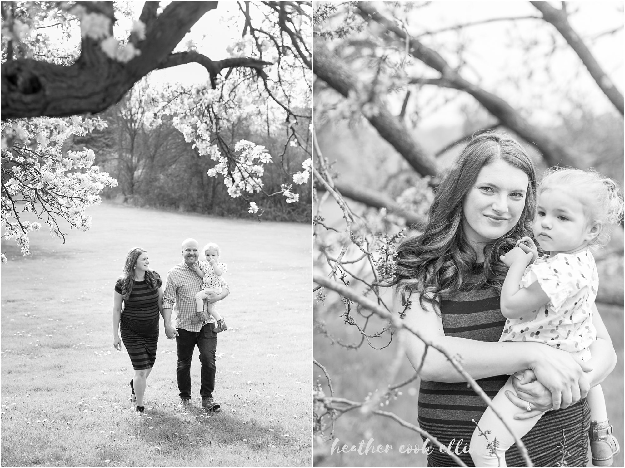 milwaukee spring family and maternity photos