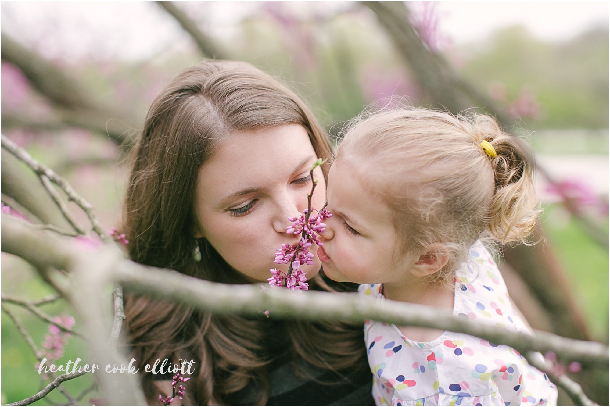 milwaukee spring family and maternity photos