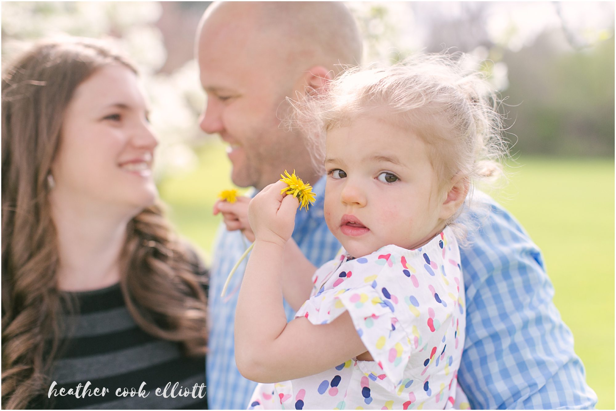 milwaukee spring family and maternity photos