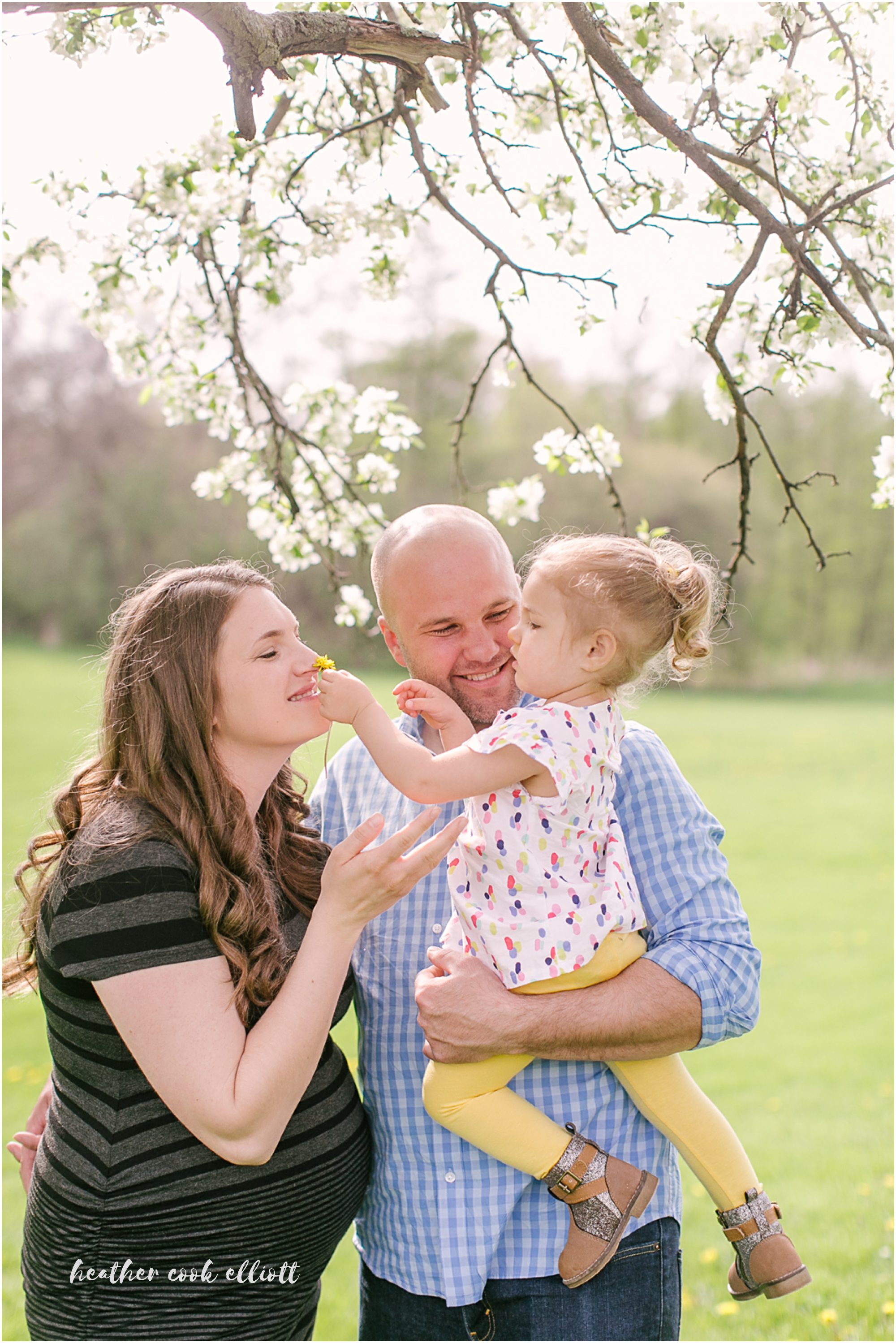 milwaukee spring family and maternity photos