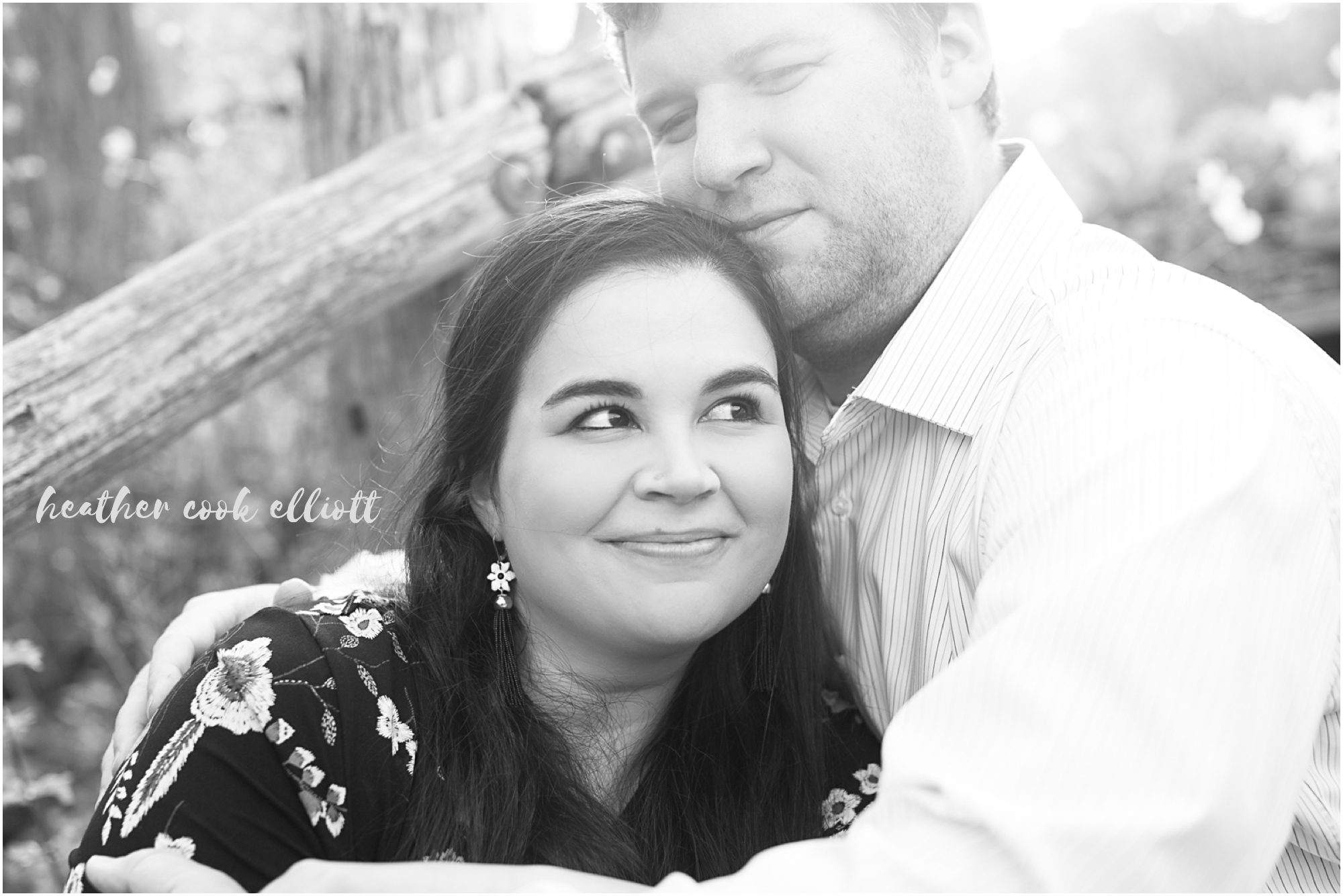 milwaukee modern engagement with dogs