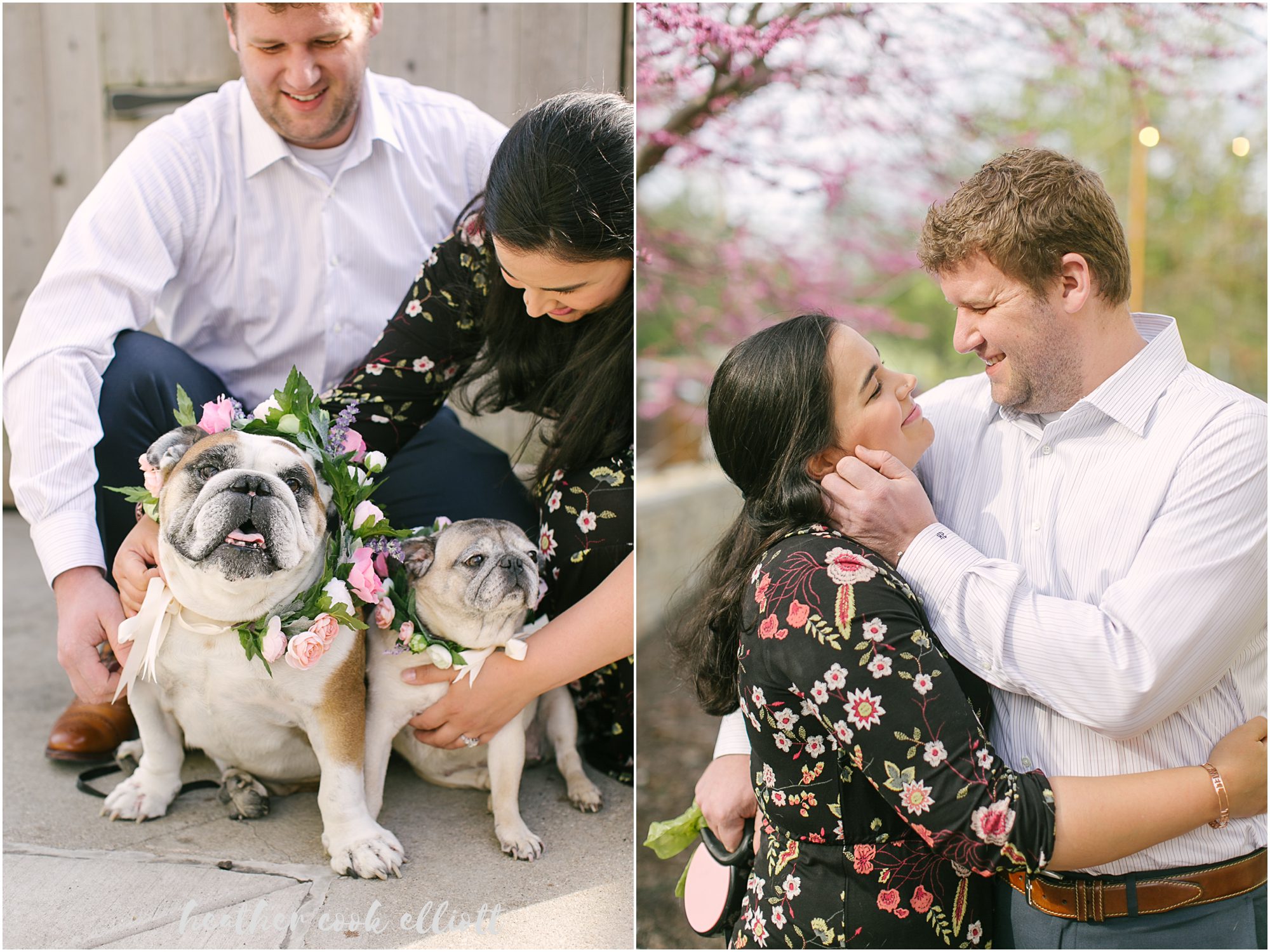 milwaukee modern engagement with dogs