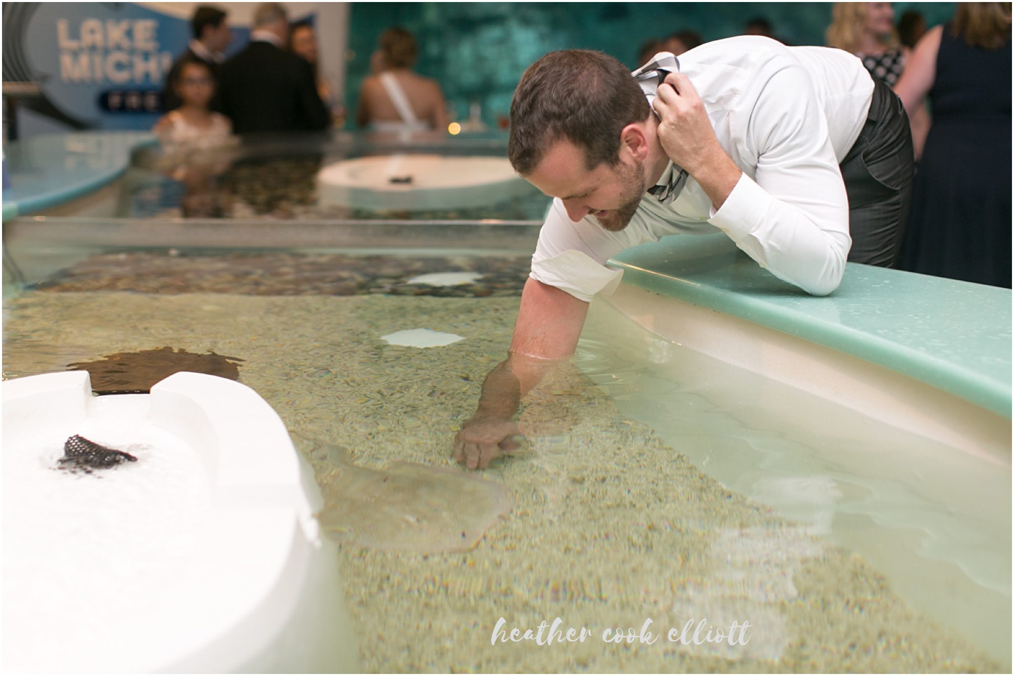 Discovery World Wedding Aquarium Cocktails