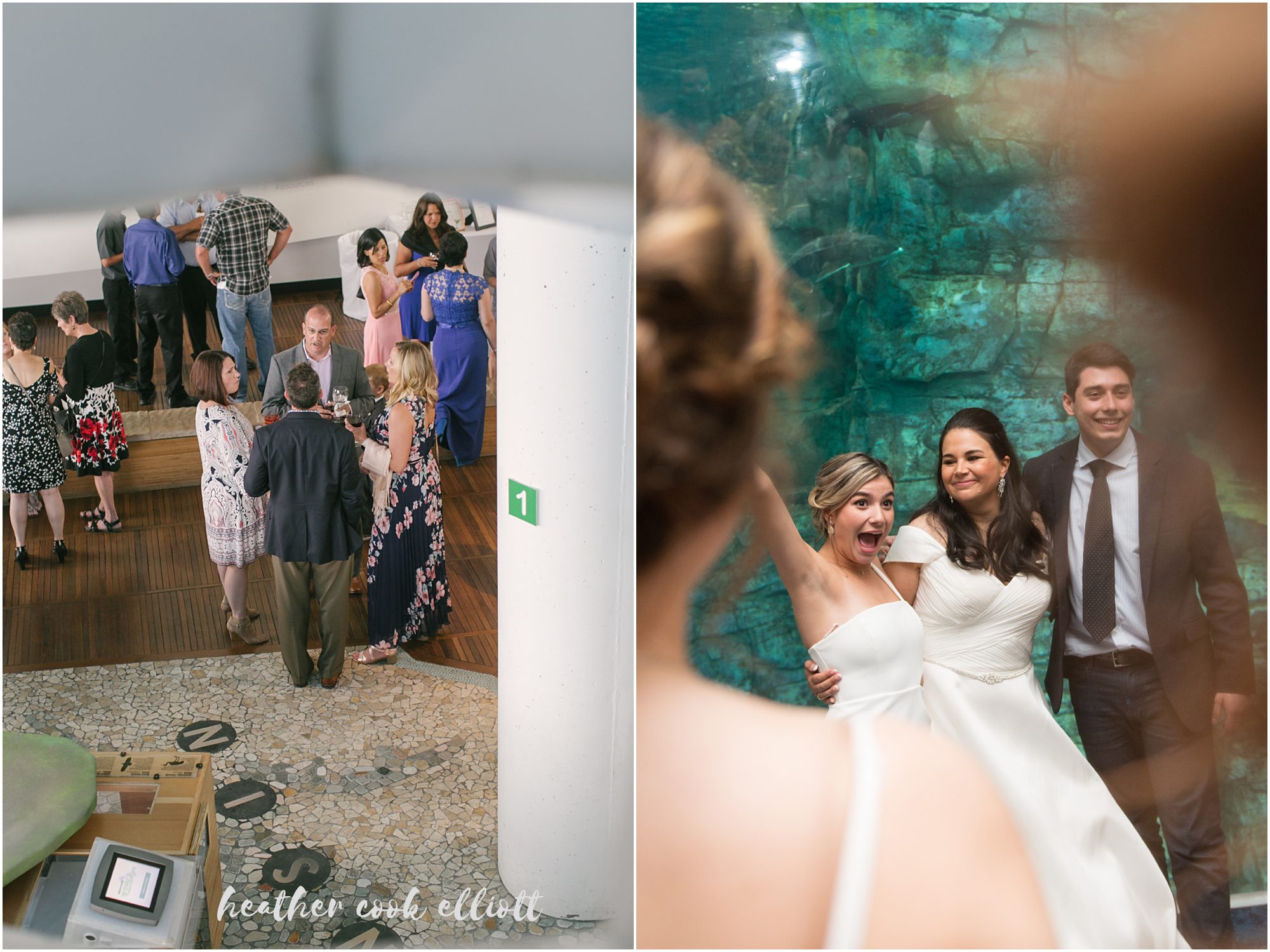 Discovery World Wedding Aquarium Cocktails