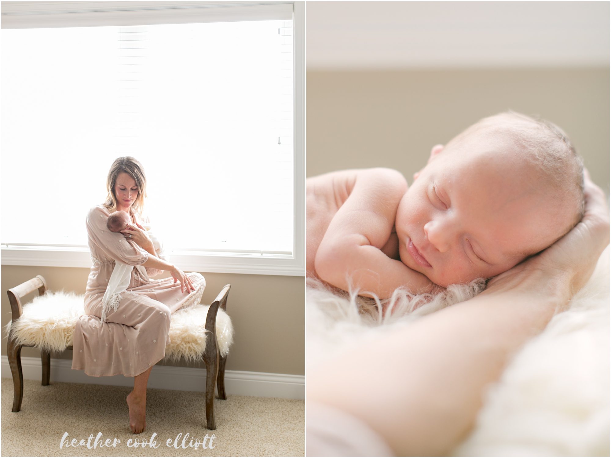 madison milwaukee natural light newborn photography