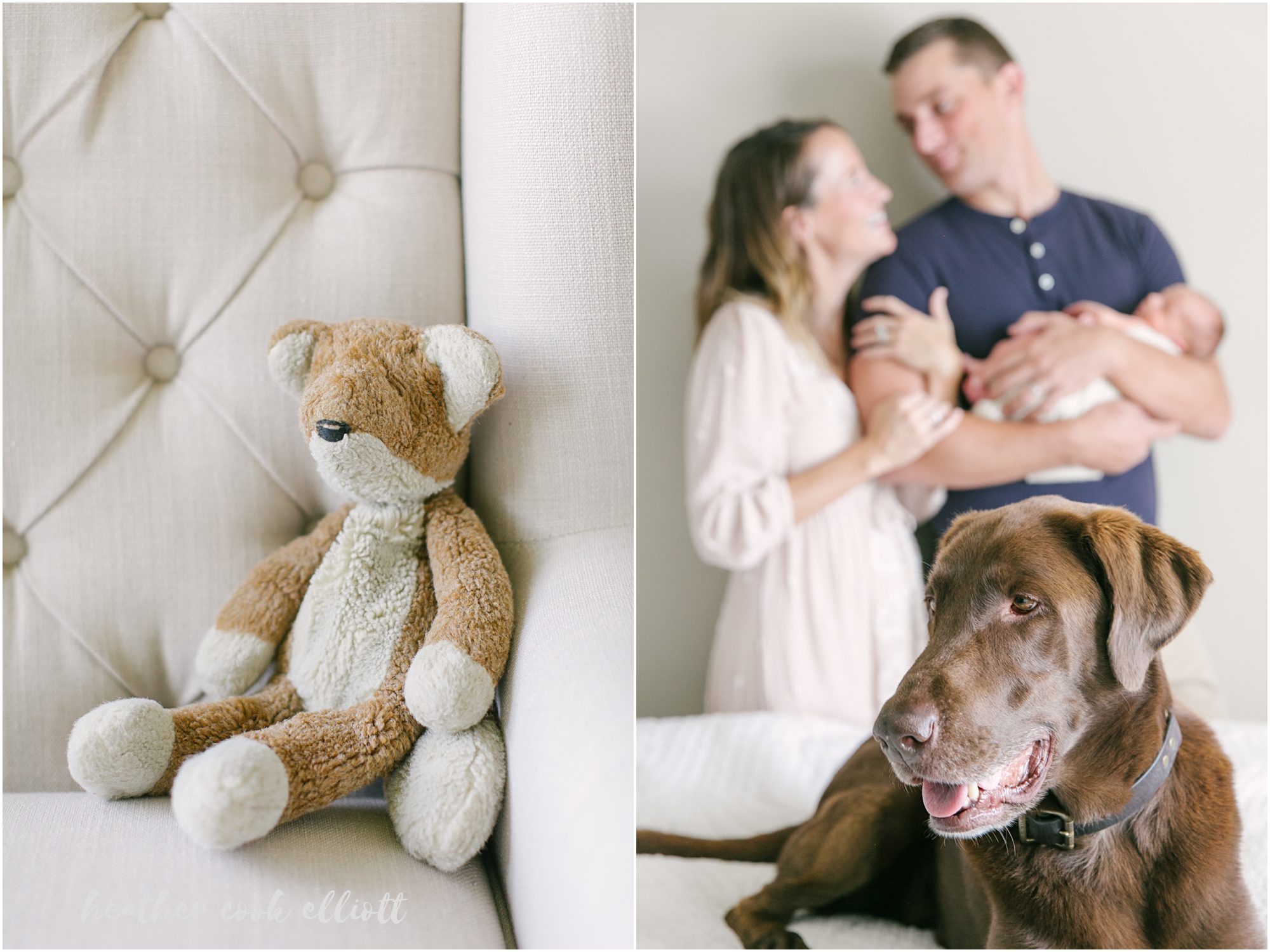 madison milwaukee natural light newborn photography