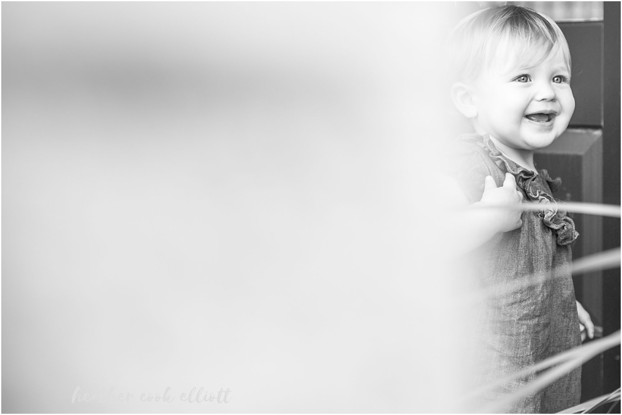 port washington family photography