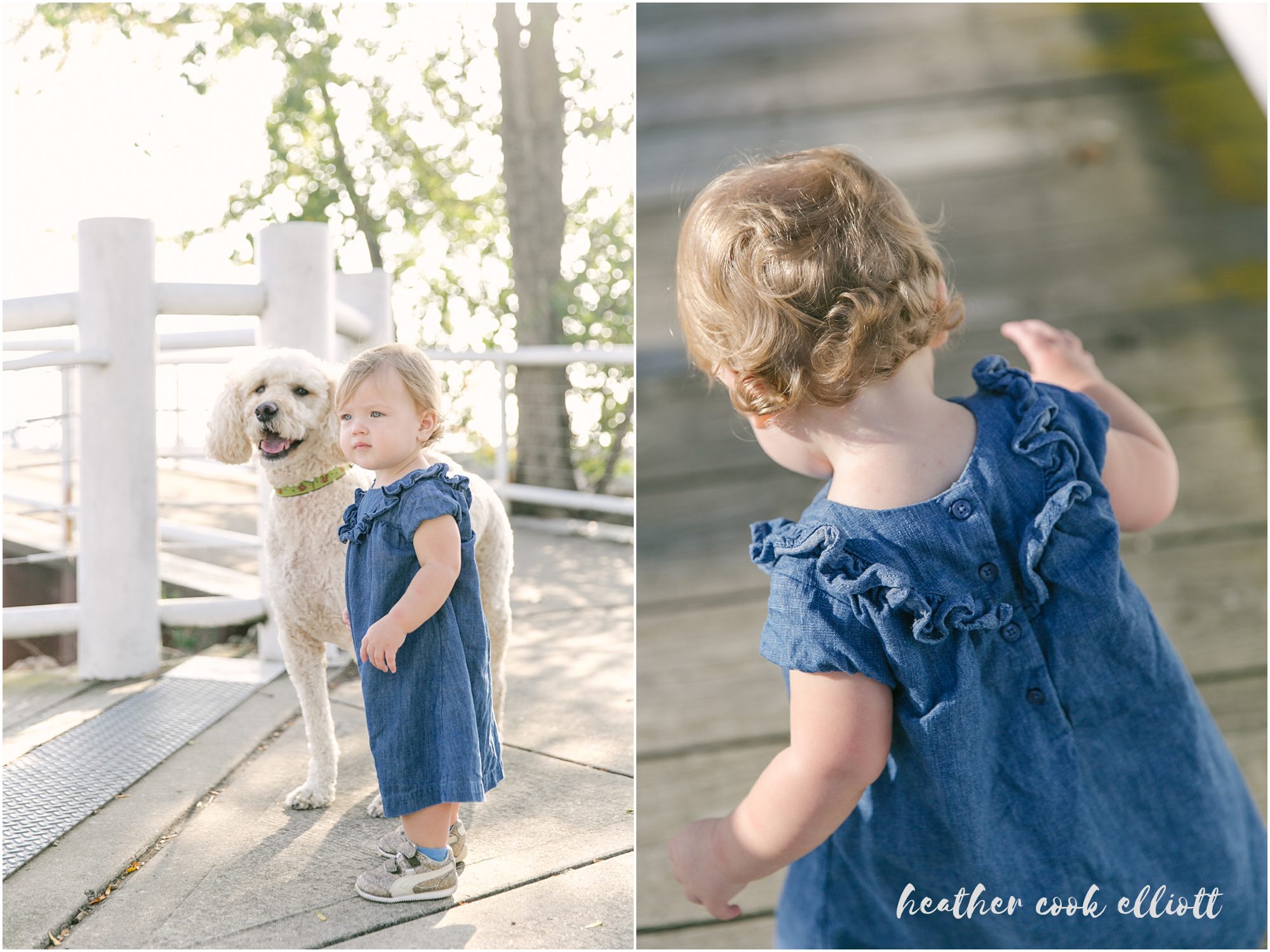 port washington family photography