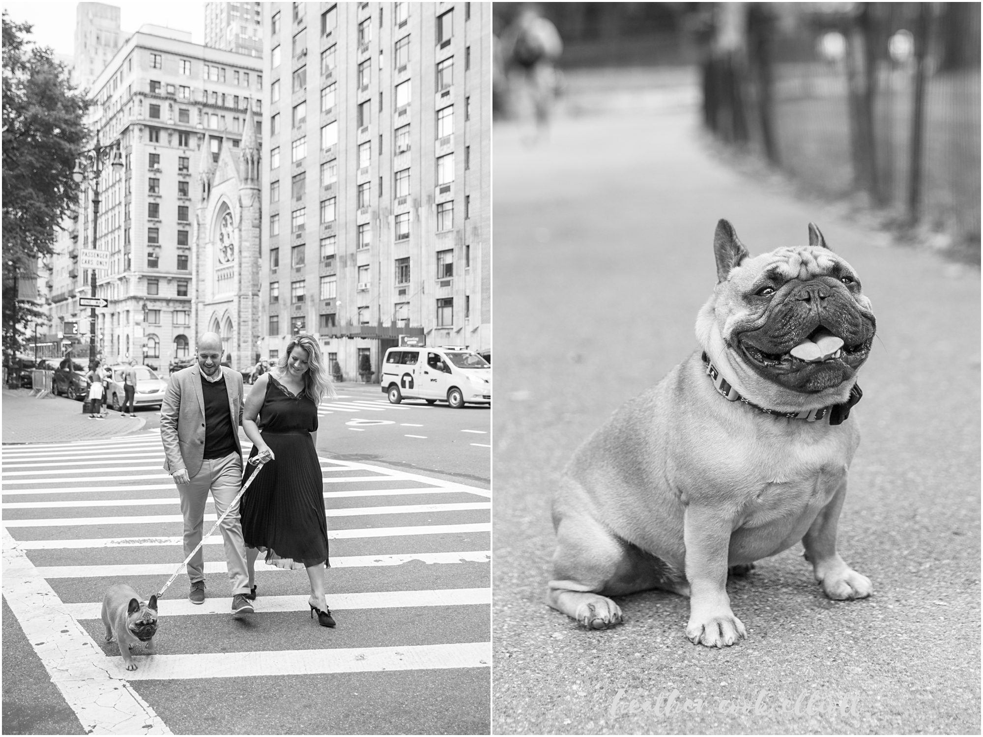 NYC central park engagement session with french bulldog