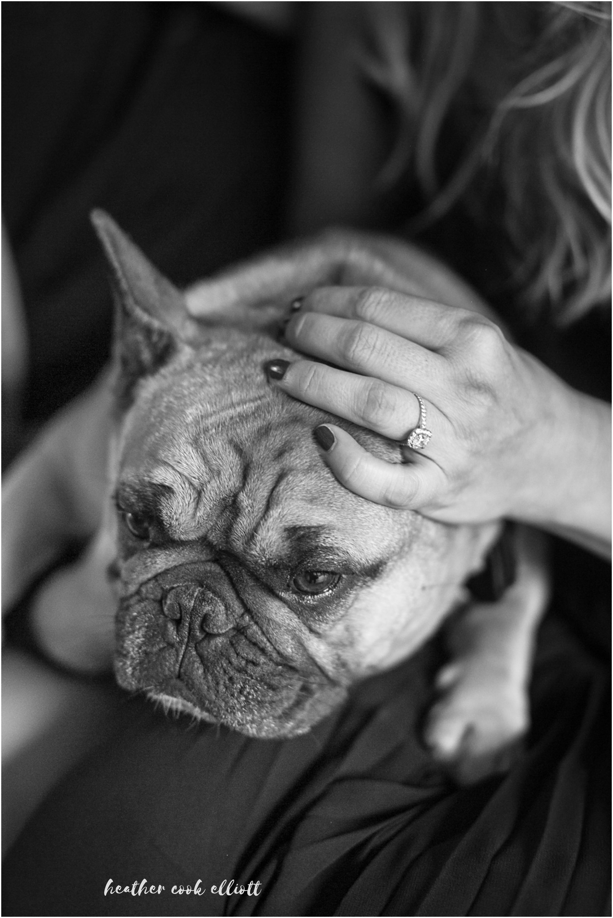 bethesda terrace engagement photography