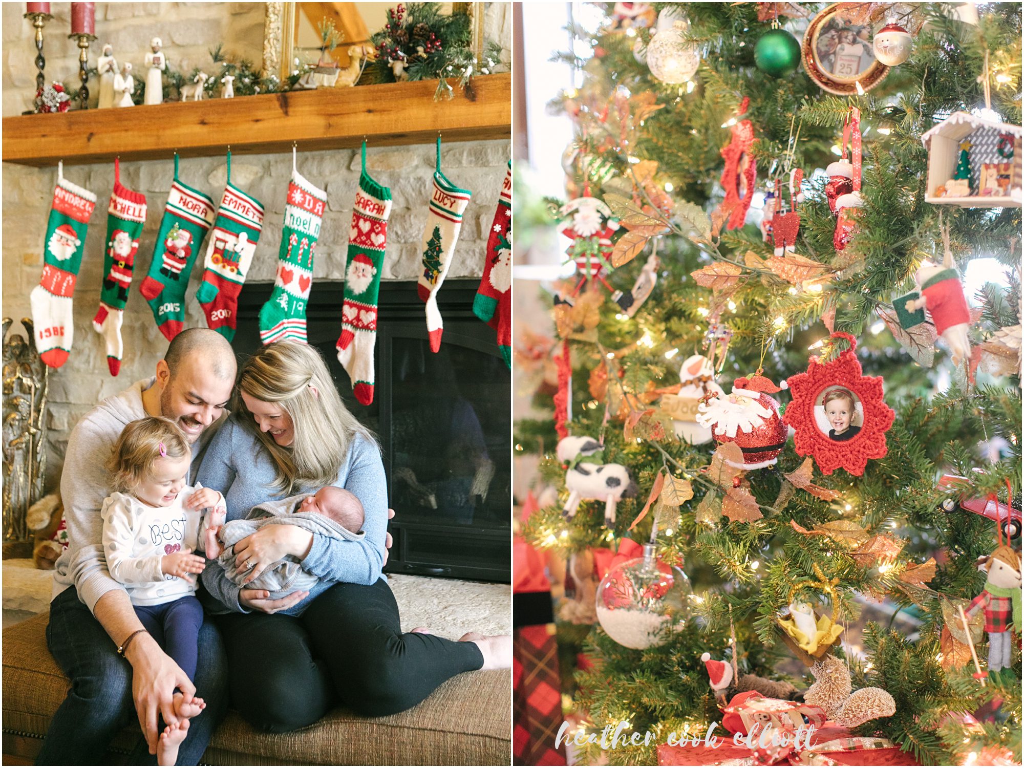 newborn photography at christmas