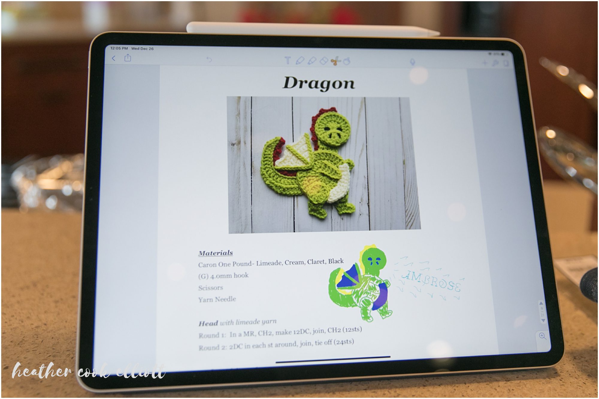 newborn photography at christmas