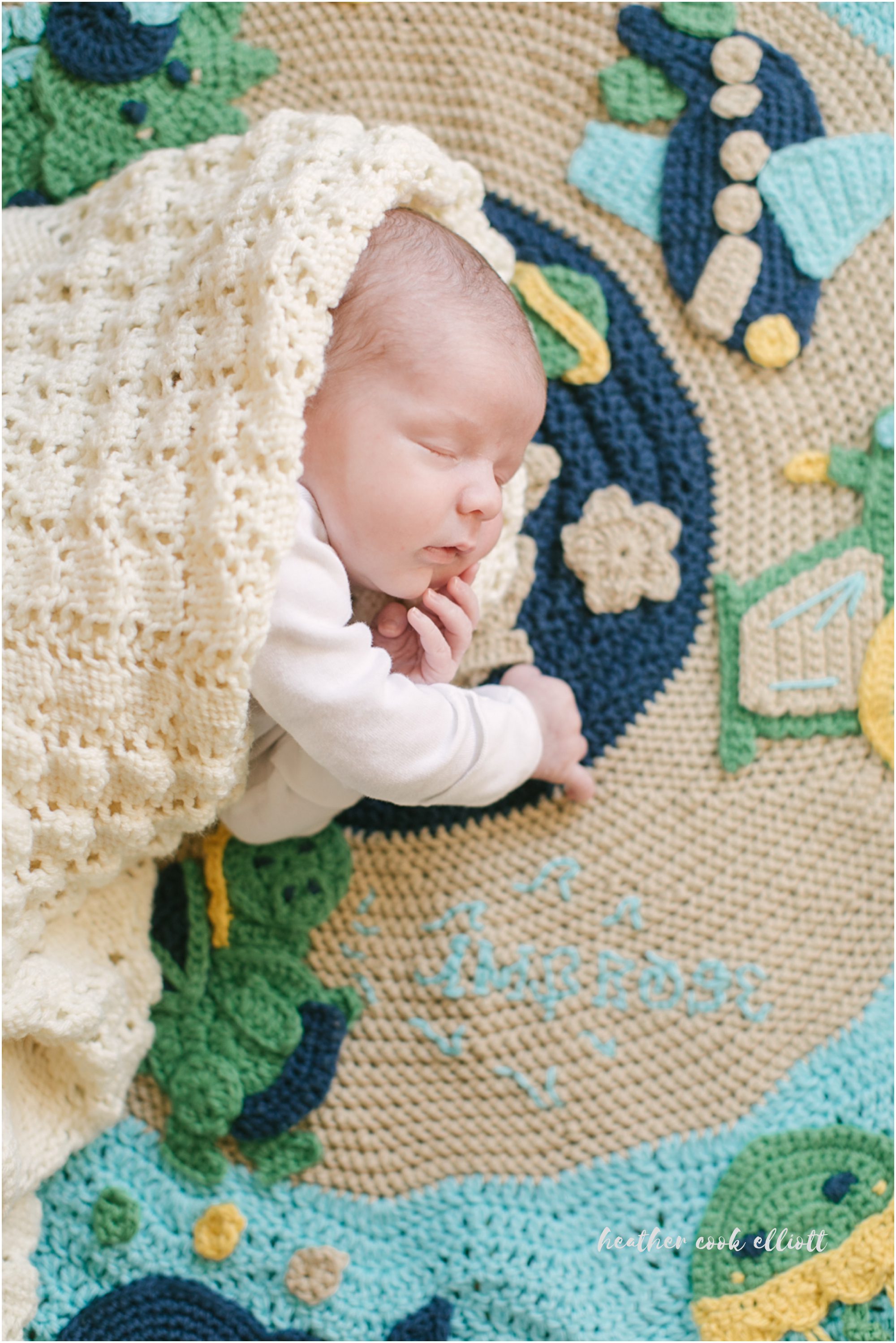 newborn photography at christmas